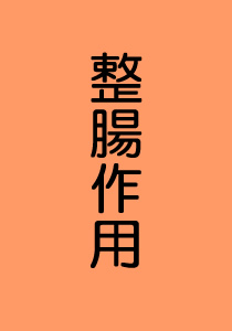 整腸作用効果